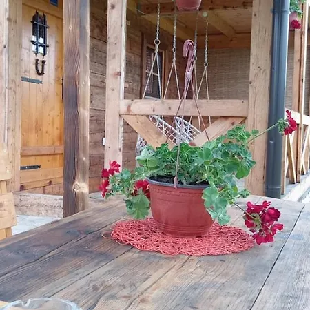 Koliba Kod Vukasina *