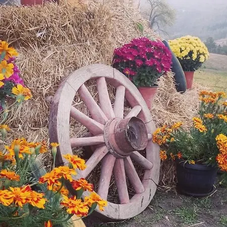 Koliba Kod Vukasina Kremna