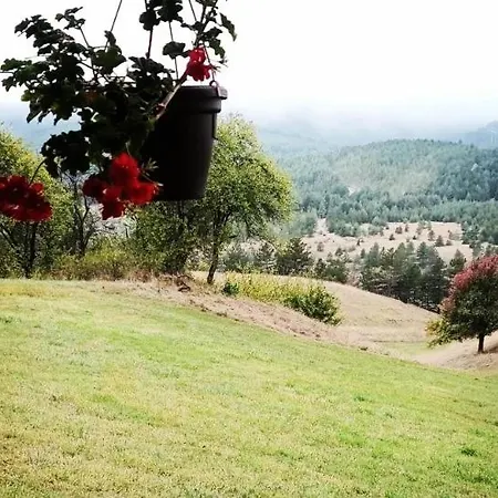 Koliba Kod Vukasina Chalet Kremna