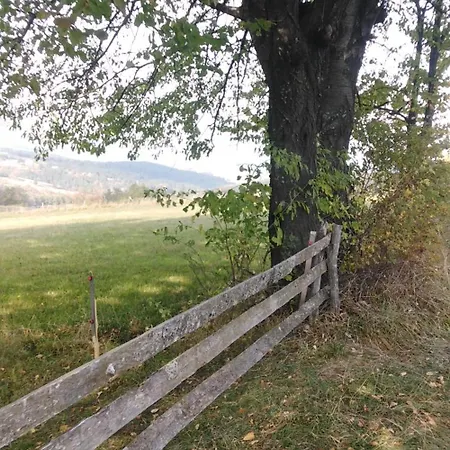 Koliba Kod Vukasina *