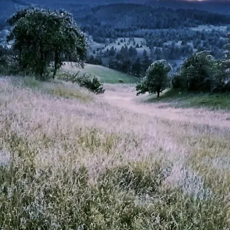 Koliba Kod Vukasina Chalet *